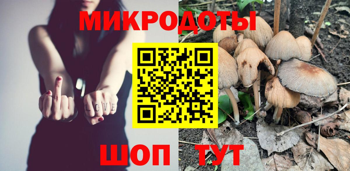 Псилоцибиновые грибы прущие грибы Славянск-на-Кубани
